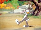 The Heckling Hare