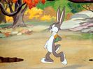 The Heckling Hare