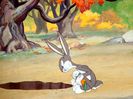 The Heckling Hare