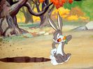 The Heckling Hare