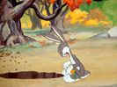 The Heckling Hare
