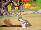 The Heckling Hare