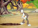 The Heckling Hare