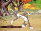 The Heckling Hare