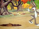 The Heckling Hare