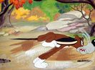 The Heckling Hare