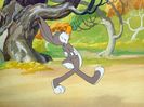 The Heckling Hare