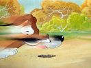 The Heckling Hare