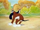The Heckling Hare