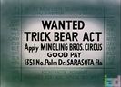 Bear Feat