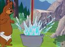 Bear Feat