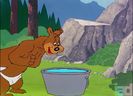 Bear Feat