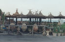 Hammamet - Cafeneaua Sidi Bouhdid