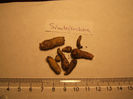 simbirochka