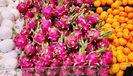 Dragon Fruit 2