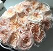 Rose de Tolbiac