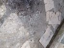 Cică sunt oameni de garden..