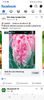 Screenshot_20250328_144849_Facebook