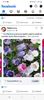 Screenshot_20250328_151549_Facebook