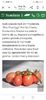 Screenshot_20250328_165933_com.android.chrome