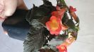 IMG-20241012-WA0019