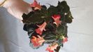 IMG-20241012-WA0021
