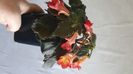 IMG-20241012-WA0017