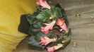 IMG-20241022-WA0019