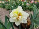 Flower drift