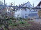 Img.2024.10.30