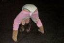 imagesCA458ZN5