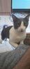 IMG-20250314-WA0000