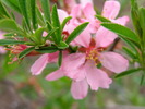 P4101699