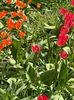 WhatsApp Image 2025-04-16 at 20.17.32_bfbf2857