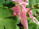 P4131725