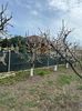 IMG-20250417-WA0080