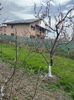 IMG-20250417-WA0082