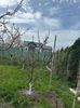 IMG-20250417-WA0084