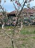 IMG-20250417-WA0085