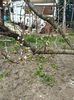 IMG-20250417-WA0086