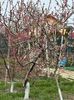 IMG-20250417-WA0090