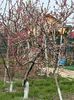 IMG-20250417-WA0093