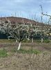 IMG-20250417-WA0094
