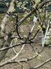 IMG-20250417-WA0096