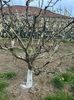 IMG-20250417-WA0097