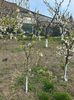 IMG-20250417-WA0098