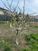 IMG-20250417-WA0100