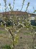 IMG-20250417-WA0101