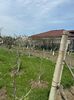 IMG-20250417-WA0110
