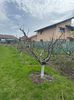 IMG-20250417-WA0083